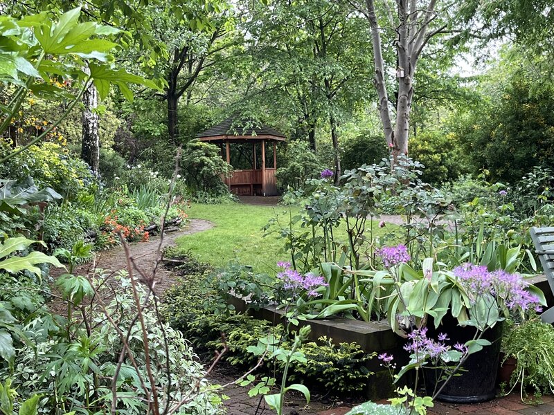 Olden Community Garden lawn