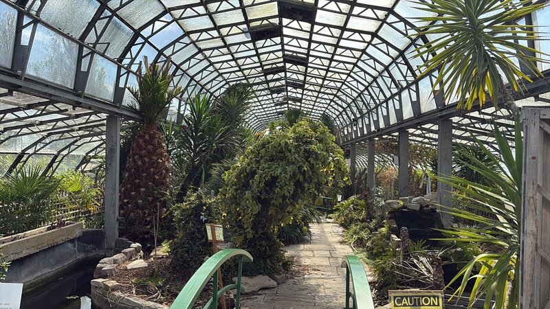 Wolves Lane Palm House