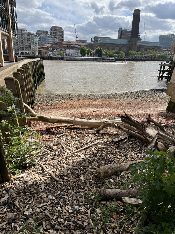 Queenhithe dock foreshore