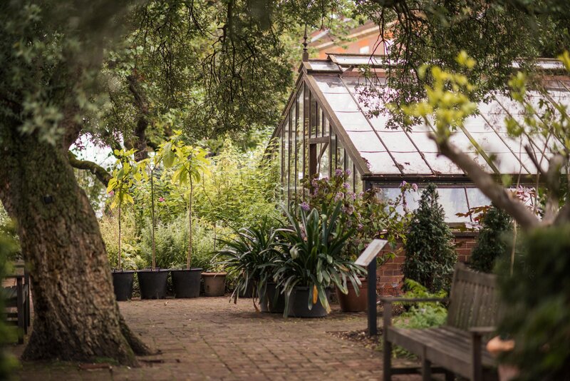 A view of the propagation glasshouse at Chelsea Physic Garden

Image credit: Laura Stoner New