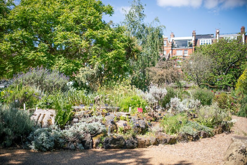 The Pond Rockery at Chelsea Physic Garden.
Image Credit: Laura Stoner New