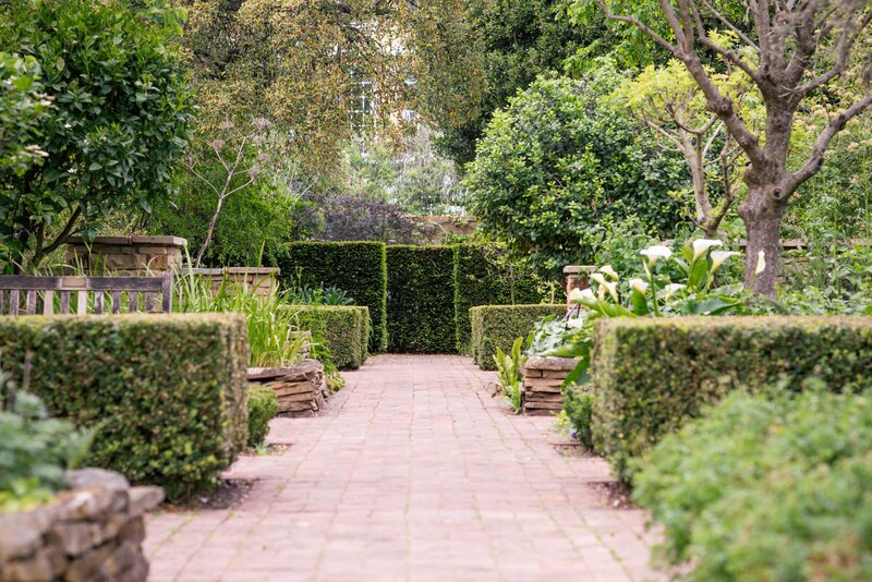 The Garden's Medicinal Quadrant.
Image credit: Laura Stoner New