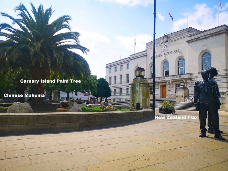 Selection of Migrating Plants alongside Hackney's Town Hall