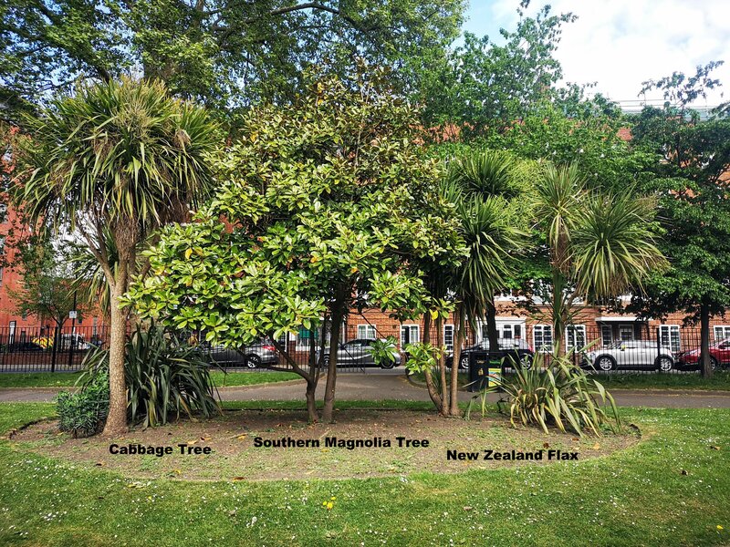 Selection of Migrating Plants in St Thomas Square, Hackney