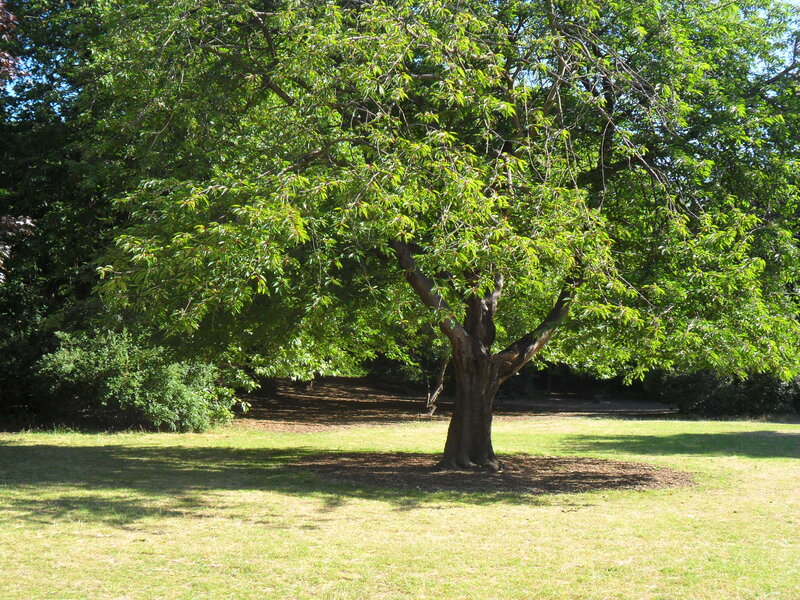 Photo of Mycenae House and Gardens
