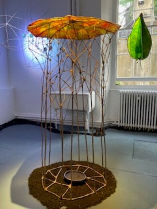 Image courtesy of resident artist, Anna Candlin