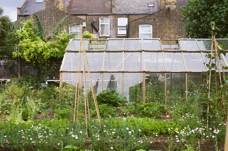 Photo of Deptford Little Farm - Guided Vegetable Tour