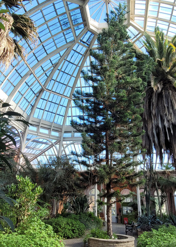 Winter Garden