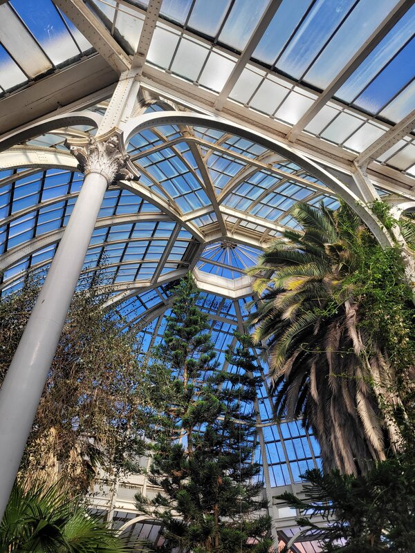 Winter Garden