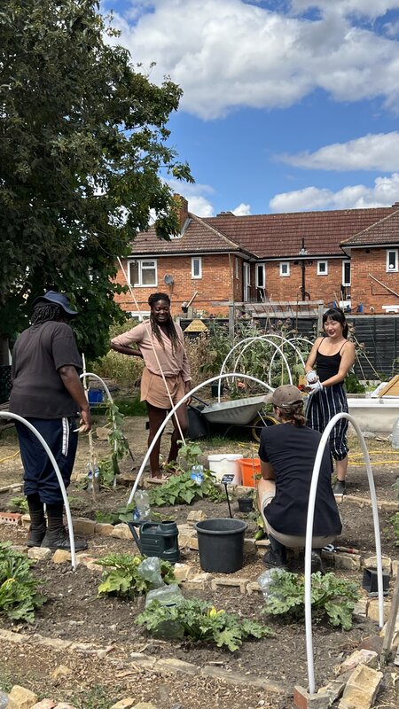 Coco Collective- Ital Community Gardens