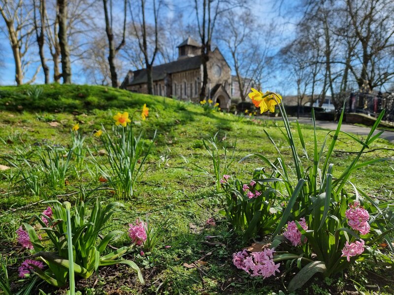 Springtime in the churchyard