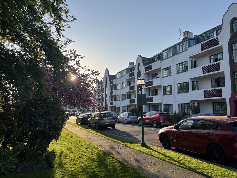Ealing Village Tree