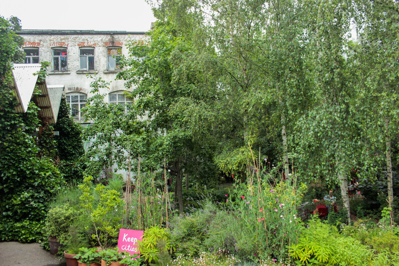 View of the Victorian building that will house the Garden's new indoor space
Credit: Alex Bogdan
