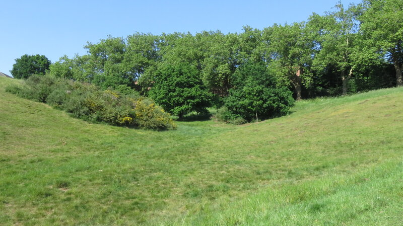 Martin's Hill - Bertie's playground