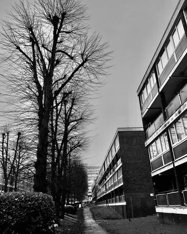 Maisonettes, Harbridge Avenue 