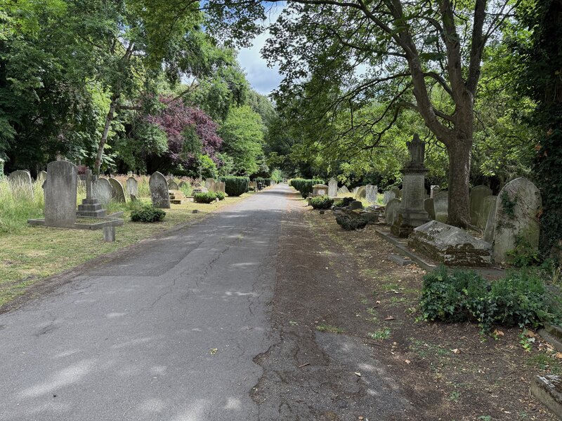 Main avenue through the old cemetery