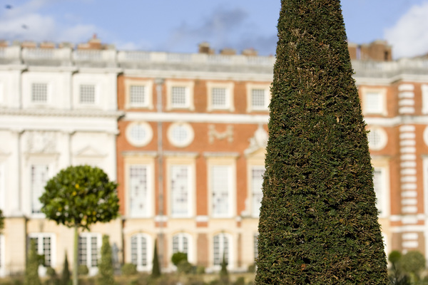 The Privy Garden