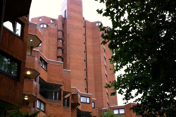 View from Blantyre Street